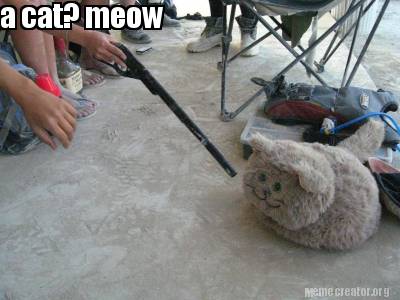 a-cat-meow