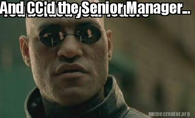 when you cc your manager on an email meme
