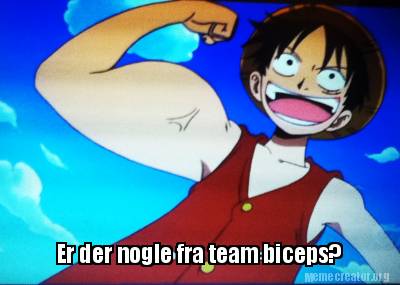 er-der-nogle-fra-team-biceps