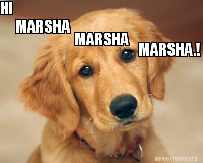 hi-marsha-marsha-marsha