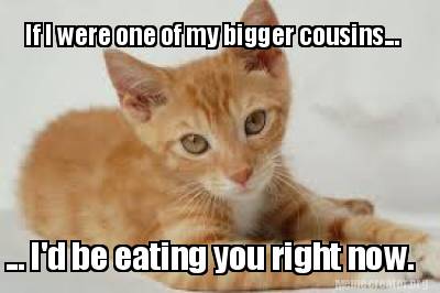 if-i-were-one-of-my-bigger-cousins...-...-id-be-eating-you-right-now