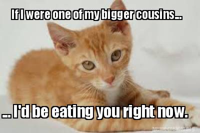 if-i-were-one-of-my-bigger-cousins...-...-id-be-eating-you-right-now3