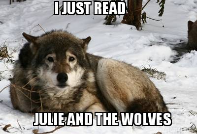 i-just-read-julie-and-the-wolves