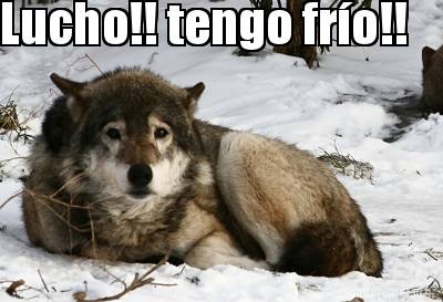 lucho-tengo-fro