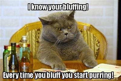 Cat Humor #5