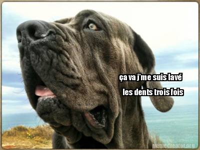 a-va-jme-suis-lav-les-dents-trois-fois