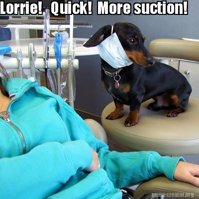 lorrie-quick-more-suction