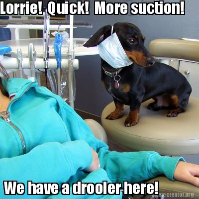 lorrie-quick-more-suction-we-have-a-drooler-here