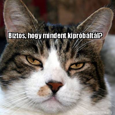 biztos-hogy-mindent-kiprbltl