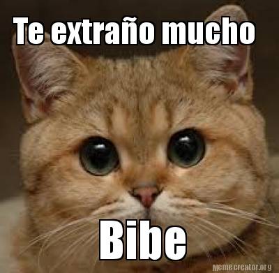 te-extrao-mucho-bibe