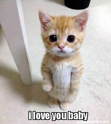 Meme Creator Funny I Love You Baby Meme Generator At Memecreator Org