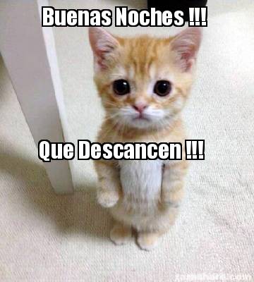 Meme Creator - Funny Buenas Noches !!! Que Descancen !!! Meme Generator at ! Meme Creator - Funny Buenas Noches !!! Que Descancen !!! Meme Generator at !