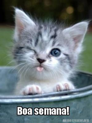 Meme Creator - Funny Boa semana! Meme Generator at ! Meme Creator - Funny Boa semana! Meme Generator at !