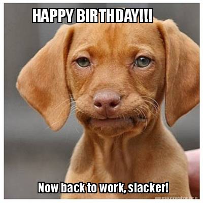 happy-birthday-now-back-to-work-slacker