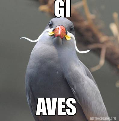 gi-aves