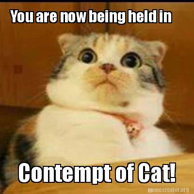 you-are-now-being-held-in-contempt-of-cat