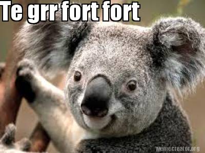 te-grr-fort-fort