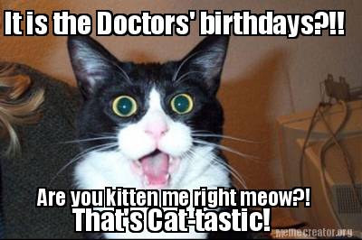 it-is-the-doctors-birthdays-are-you-kitten-me-right-meow-thats-cat-tastic