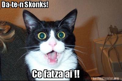 ce-fatza-ai-da-te-n-skonks