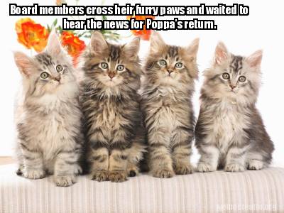 board-members-cross-heir-furry-paws-and-waited-to-hear-the-news-for-poppas-retur