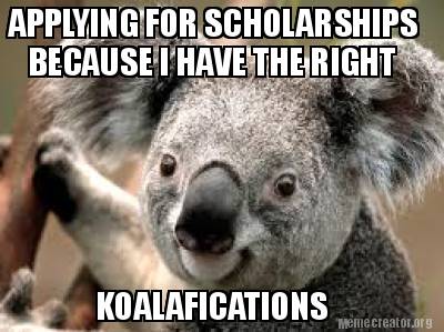 applying-for-scholarships-because-i-have-the-right-koalafications