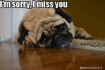 Meme Creator - Funny I'M Sorry, I Miss You Meme Generator At  Memecreator.Org!