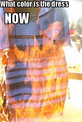 what-color-is-the-dress-now7
