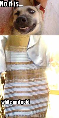 no-it-is...-white-and-gold