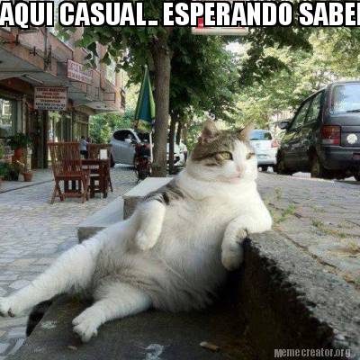 aqui-casual..-esperando-saber0