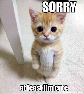 Meme Creator - Funny SORRY at least I'm cute Meme Generator at ! Meme Creator - Funny SORRY at least I'm cute Meme Generator at !