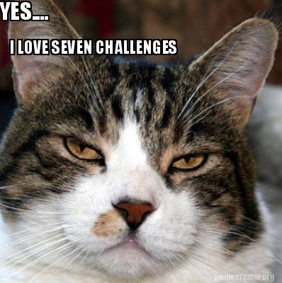 yes....-i-love-seven-challenges