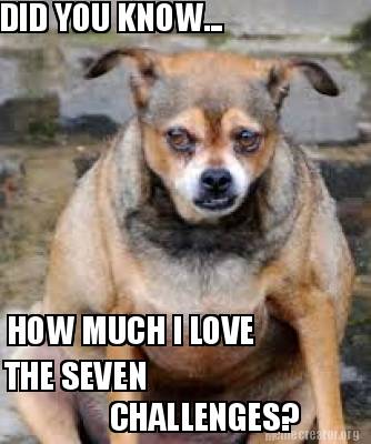 did-you-know...-how-much-i-love-the-seven-challenges