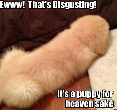ewww-thats-disgusting-its-a-puppy-for-heaven-sake