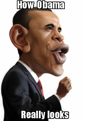Meme Creator - Funny How Obama Really looks Meme Generator at  !