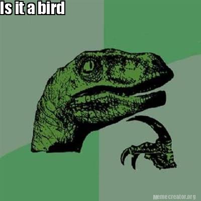 Meme Creator - Funny Is it a bird Meme Generator at MemeCreator.org!