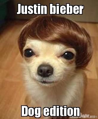 justin-bieber-dog-edition