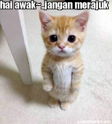 Meme Creator - Funny hai awak~..jangan merajuk Meme Generator at ...