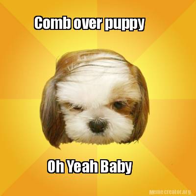 comb-over-puppy-oh-yeah-baby