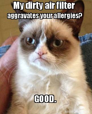 Meme Creator - Funny My dirty air filter aggravates your allergies? GOOD.  Meme Generator at !