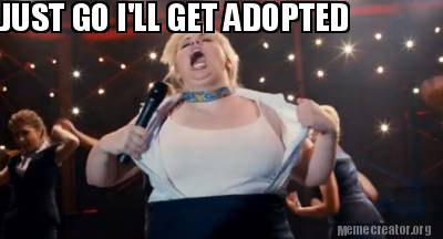 just-go-ill-get-adopted
