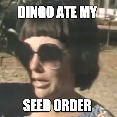 dingo-ate-my-seed-order