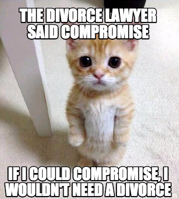 meme creator the divorce lawyer said compromise if i could 3647600 meme creator the divorce lawyer said compromise if i could