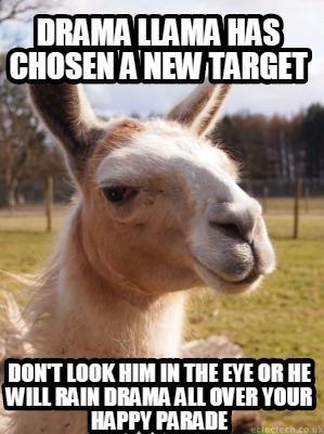 drama-llama-has-chosen-a-new-target-dont-look-him-in-the-eye-or-he-will-rain-dra