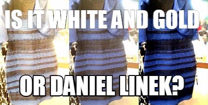 is-it-white-and-gold-or-daniel-linek