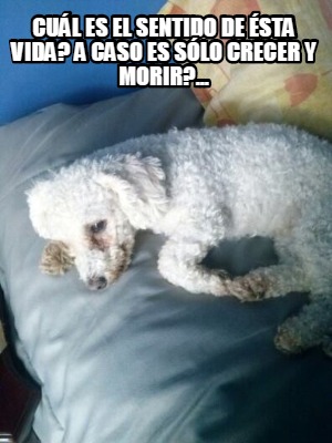cul-es-el-sentido-de-sta-vida-a-caso-es-slo-crecer-y-morir