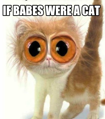if-babes-were-a-cat