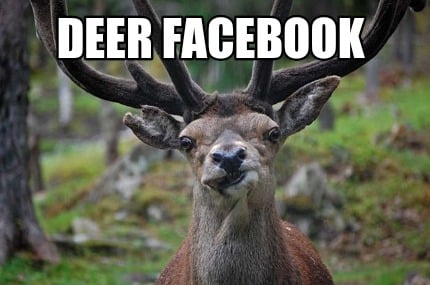 deer-facebook