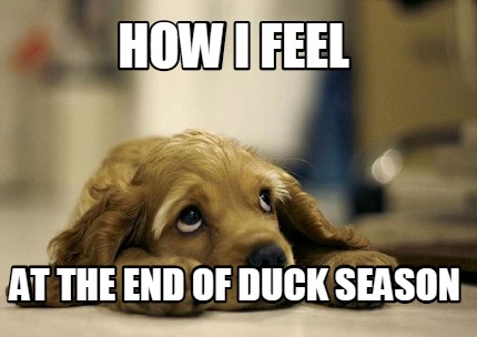 how-i-feel-at-the-end-of-duck-season