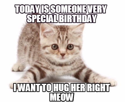 today-is-someone-very-special-birthday-i-want-to-hug-her-right-meow