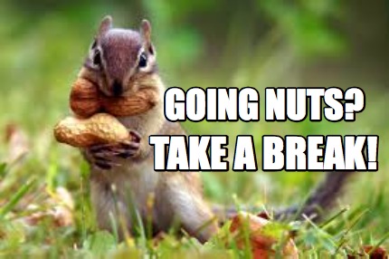 going-nuts-take-a-break